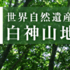 白神山地の水を紹介、黒ラベルの違いや硬度などについて