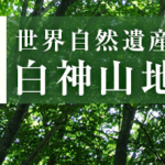 白神山地の水を紹介、黒ラベルの違いや硬度などについて